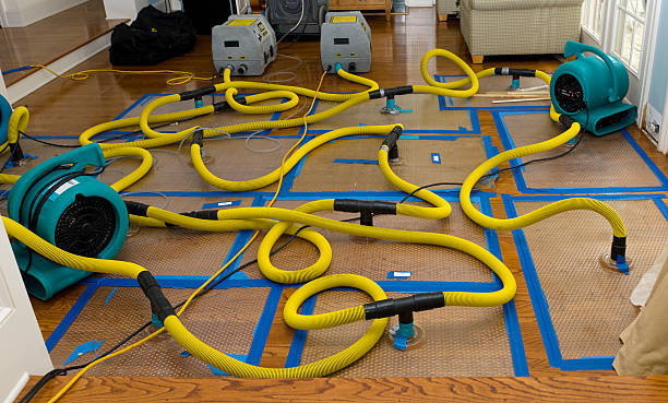 Professional Water Damage Restoration technician working in Hartline, WA