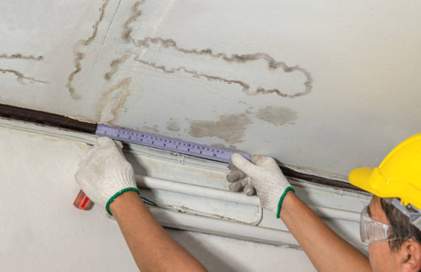 Affordable Water Damage Restoration solutions in Hartline, WA